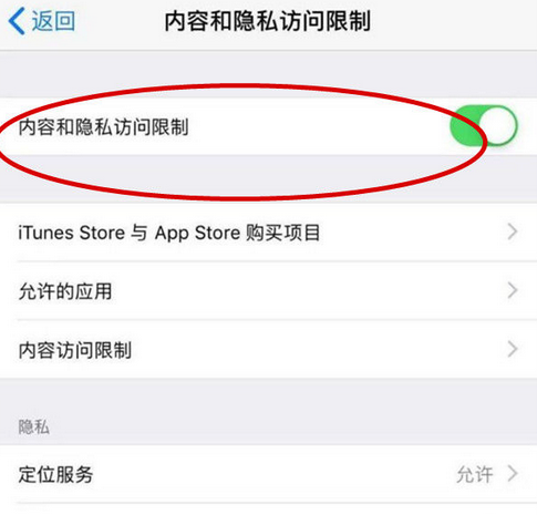 罗江苹果15Pro预约维修分享苹果iPhone15Pro如何设置应用加密 