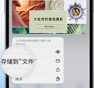 罗江apple维修中心分享iPhone文件应用中存储和找到下载文件