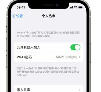 罗江apple服务站点分享iPhone上个人热点丢失了怎么办 