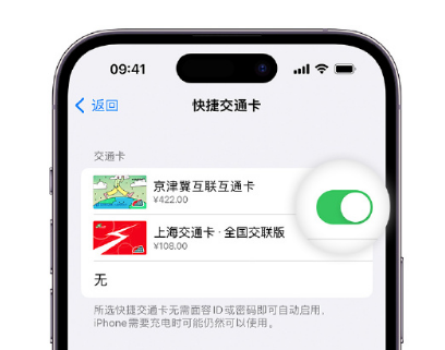 罗江apple维修点分享iPhone上更换Apple Pay快捷交通卡手绘卡面 