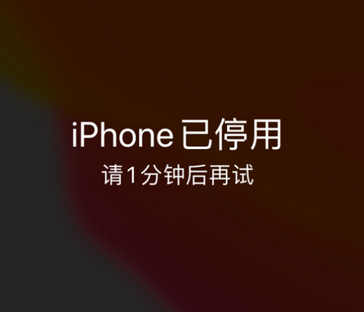 罗江苹果手机维修分享:iPhone 显示“不可用”或“已停用”怎么办？还能保留数据吗？ 