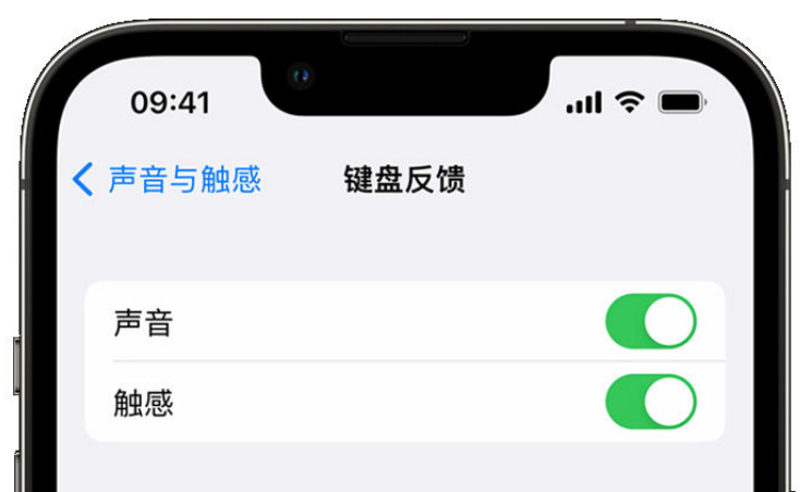 罗江苹果手机维修分享iPhone 14触感键盘使用方法 