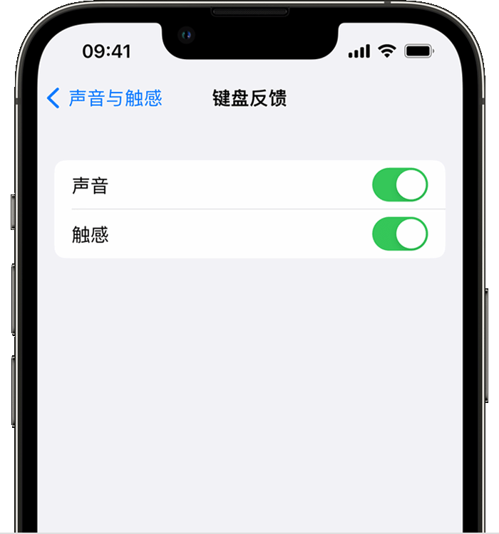 罗江苹果14维修店分享如何在 iPhone 14 机型中使用触感键盘 