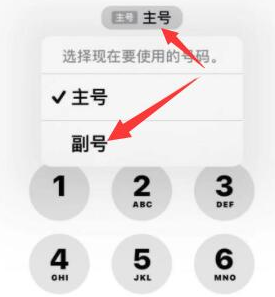 罗江苹果14维修店分享iPhone 14 Pro Max使用副卡打电话的方法 