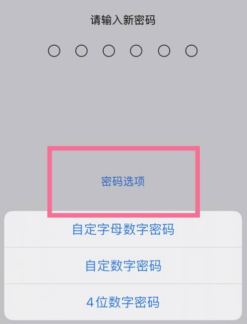 罗江苹果14维修分享iPhone 14plus设置密码的方法 