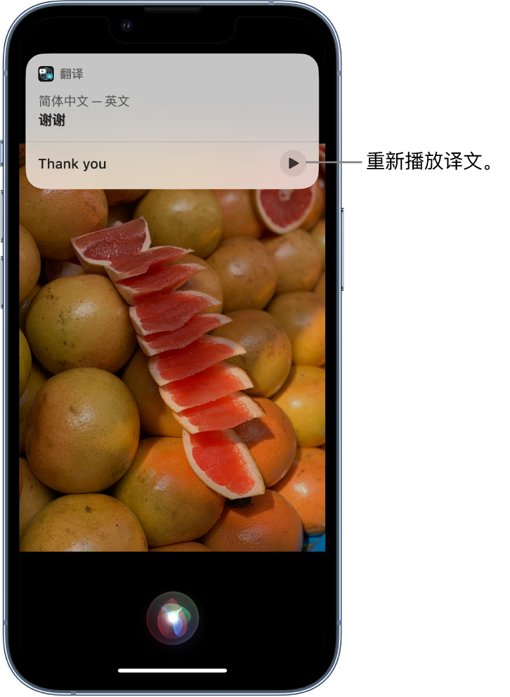 罗江苹果14维修分享 iPhone 14 机型中使用 Siri：了解 Siri 能帮你做什么 