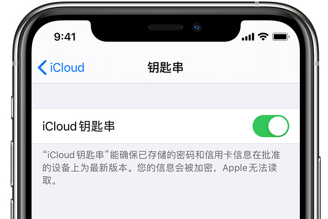 罗江苹果手机维修分享在 iPhone 上开启 iCloud 钥匙串之后会储存哪些信息 