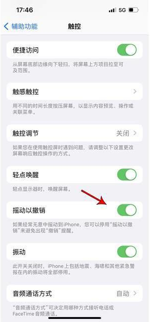 罗江苹果手机维修分享iPhone手机如何设置摇一摇删除文字 